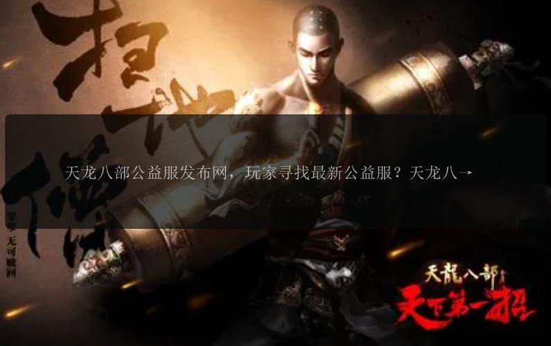 天龙八部公益服发布网：满足多样玩法需求，提供丰富公益服资源
